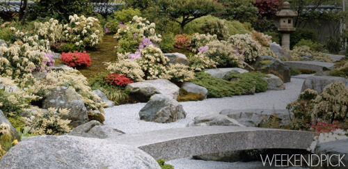 Japanese Zen Garden MFA-WeekendPick